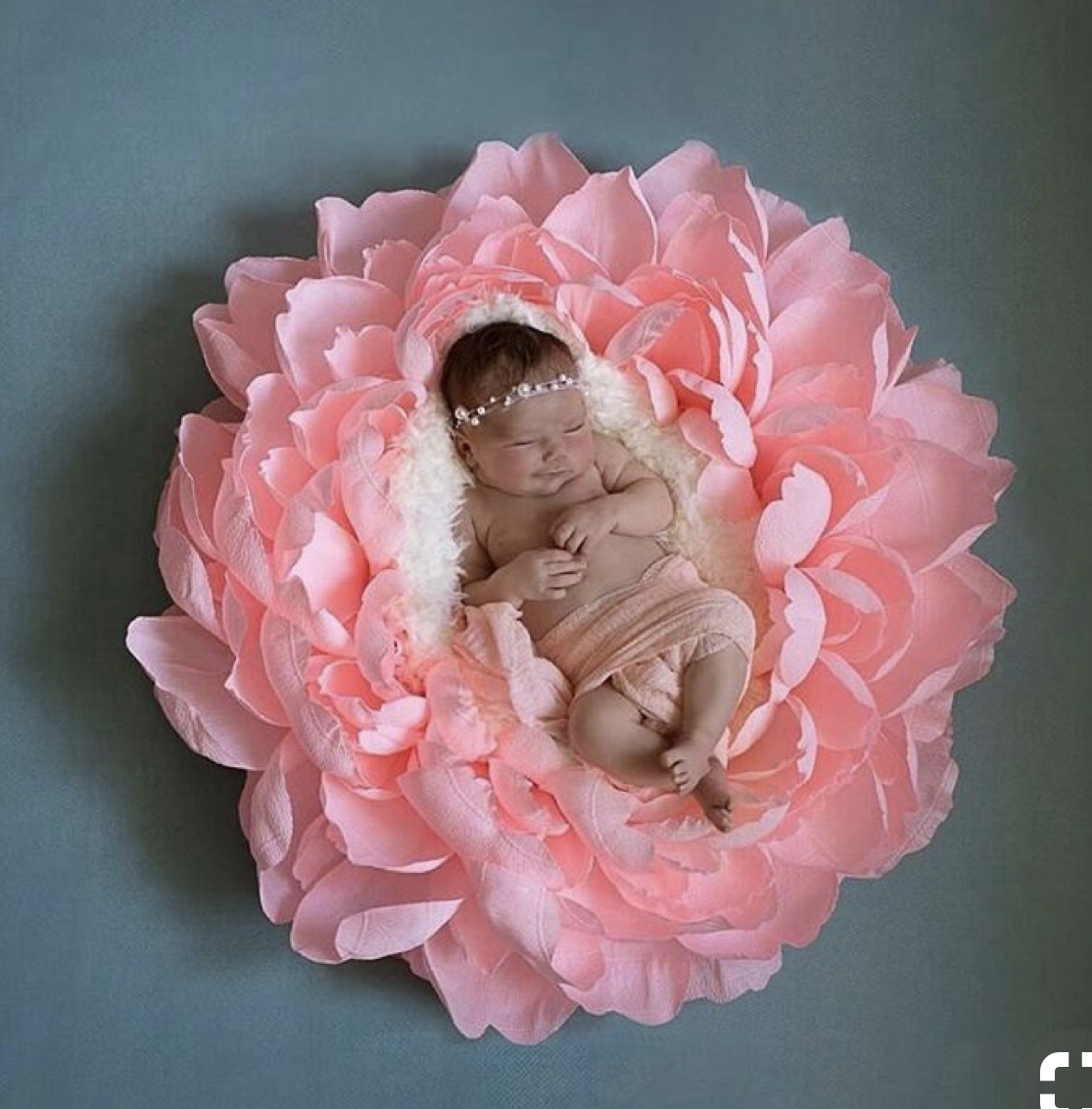 Trang trí sinh nhật